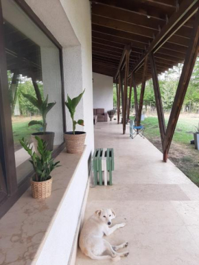 A welcoming brand new villa close to Bucharest